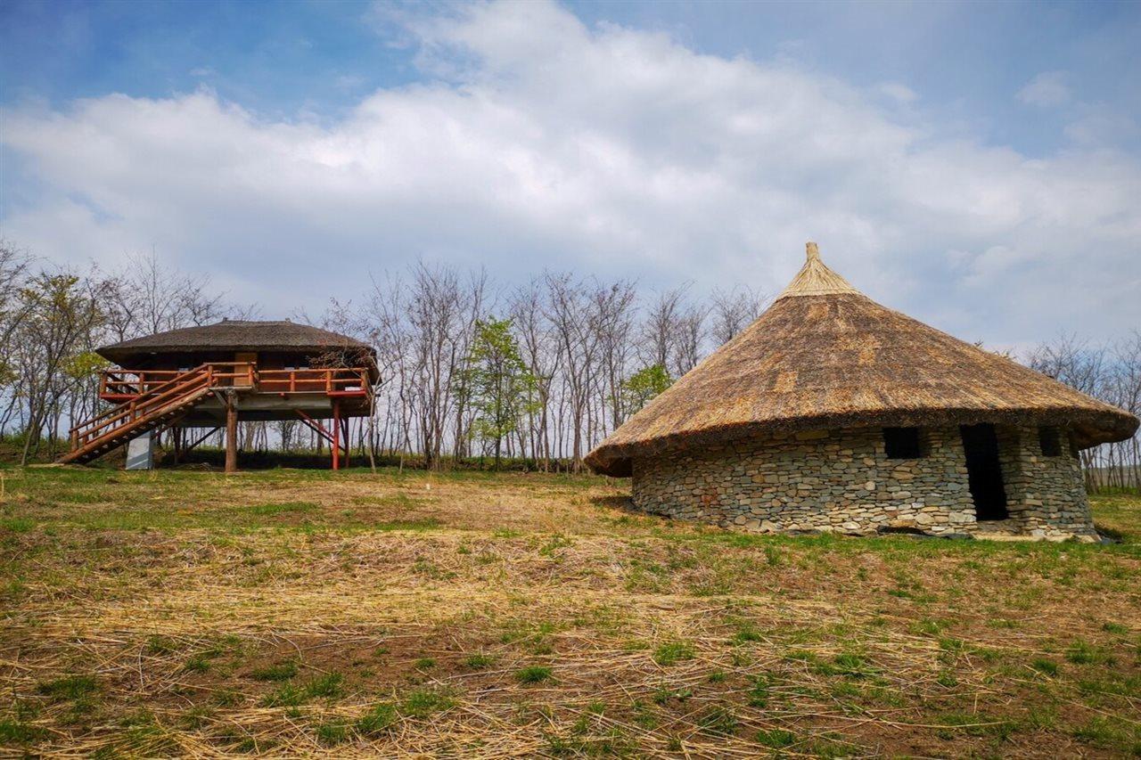 Hotel Ferma Dacilor Tohani Exteriér fotografie