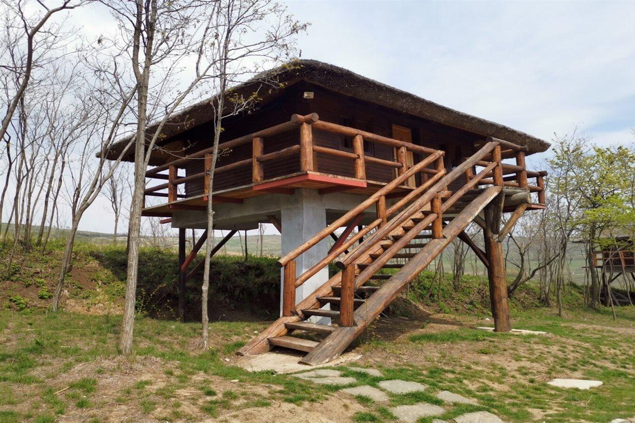 Hotel Ferma Dacilor Tohani Exteriér fotografie