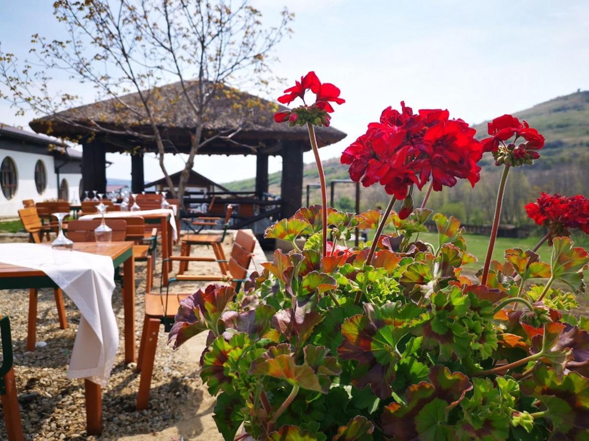 Hotel Ferma Dacilor Tohani Exteriér fotografie