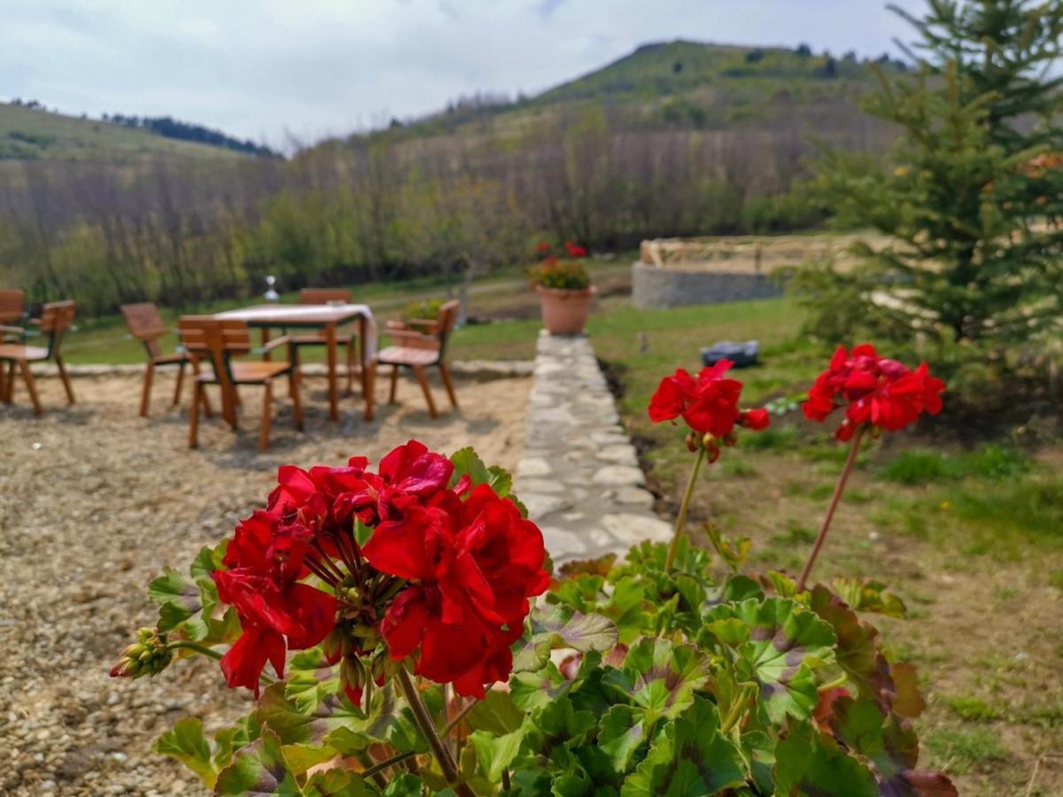 Hotel Ferma Dacilor Tohani Exteriér fotografie