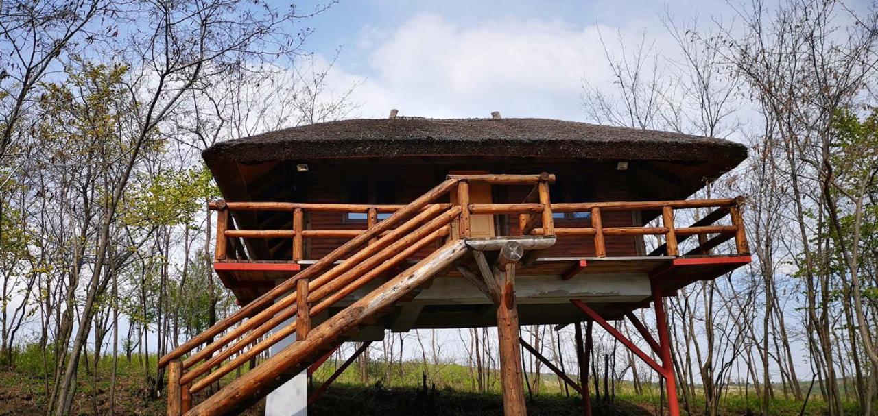 Hotel Ferma Dacilor Tohani Exteriér fotografie