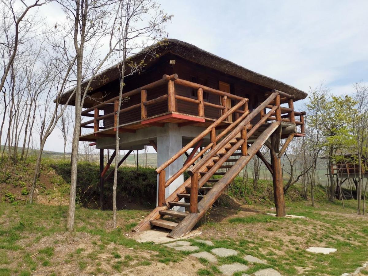 Hotel Ferma Dacilor Tohani Exteriér fotografie